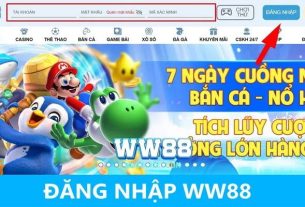Đăng Nhập WW88 - Cách Trải Nghiệm Thú Vị Tại Nền Tảng Cá Cược Online
