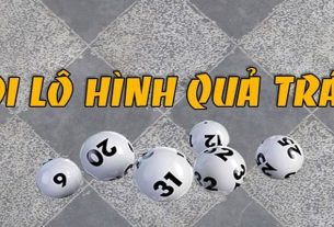 Soi Cầu Quả Trám - Phương Pháp Dự Đoán Kết Quả Xổ Số Hiệu Quả