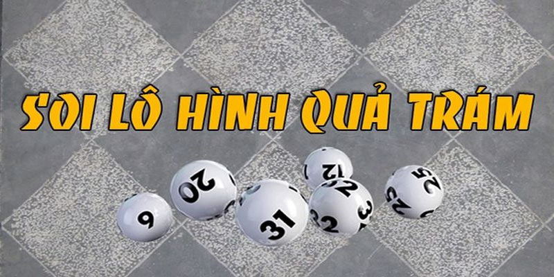 Soi Cầu Quả Trám - Phương Pháp Dự Đoán Kết Quả Xổ Số Hiệu Quả